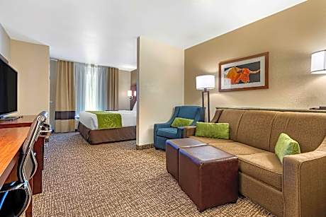 1 Bedroom Suite