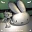 tourist Bunny Hostel