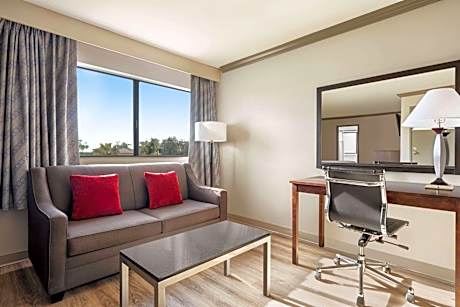 1 King Bed, One-Bedroom Suite, Non-Smoking