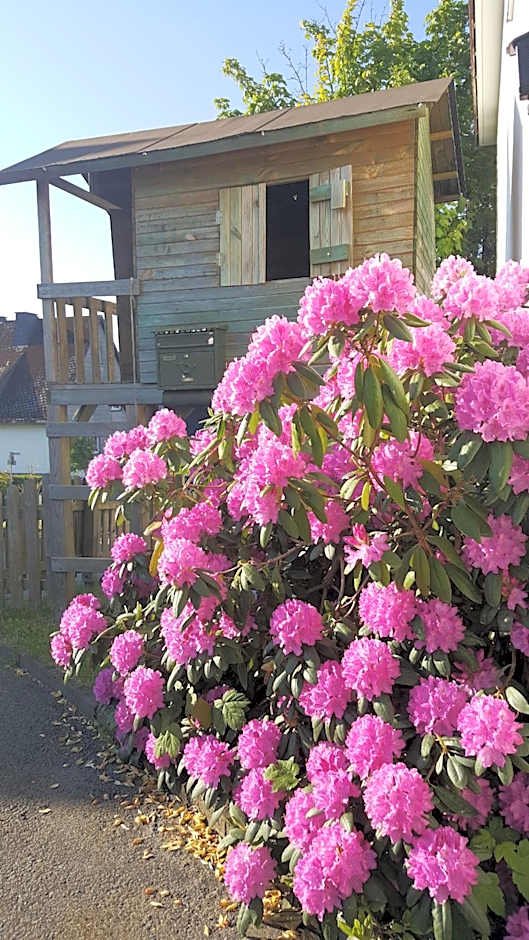 Berghotel Natura Bed & Breakfast