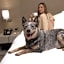 Hotel Holiday Inn Express Bogota By IHG