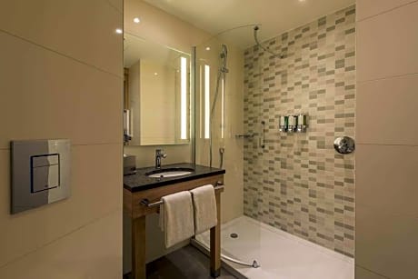 Queen Accessible Room