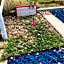 Oasis Lake Buchanan
