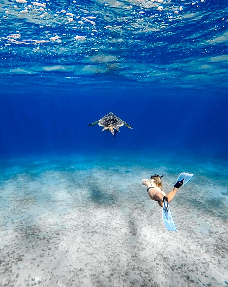 Marina view port ghalib