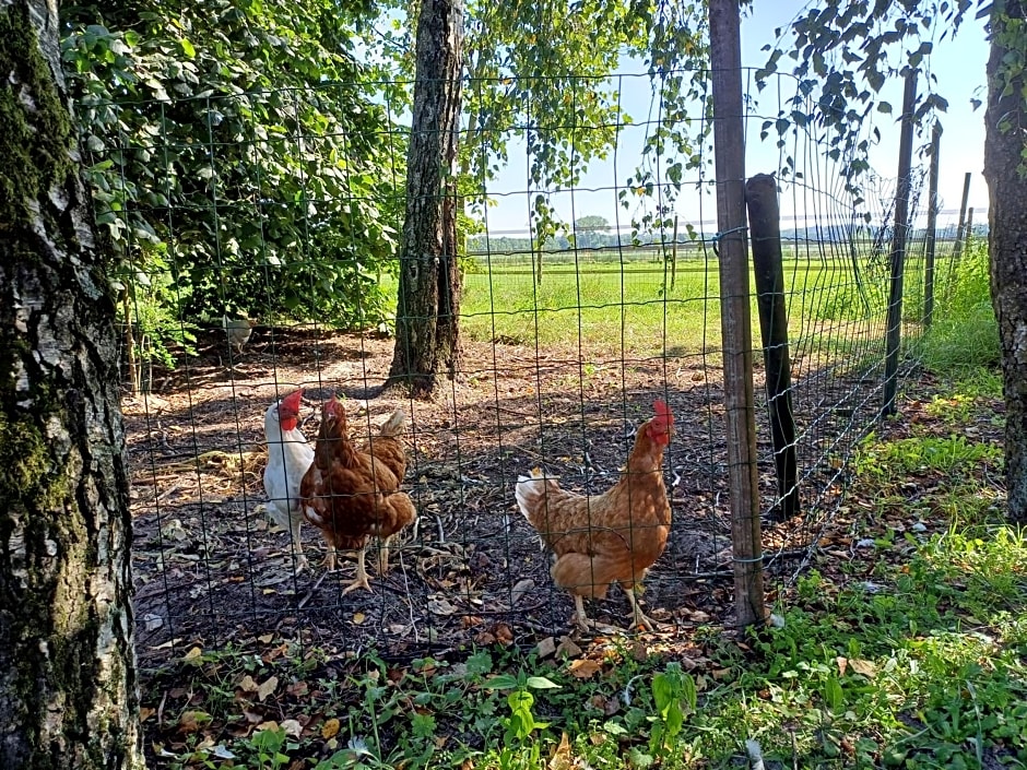 B&B Het mooie uitzicht