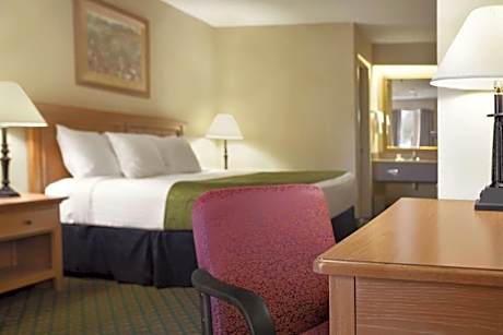 Business King Room