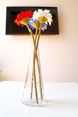 APARTMENT CAPACITY 2 ONE BEDROOM