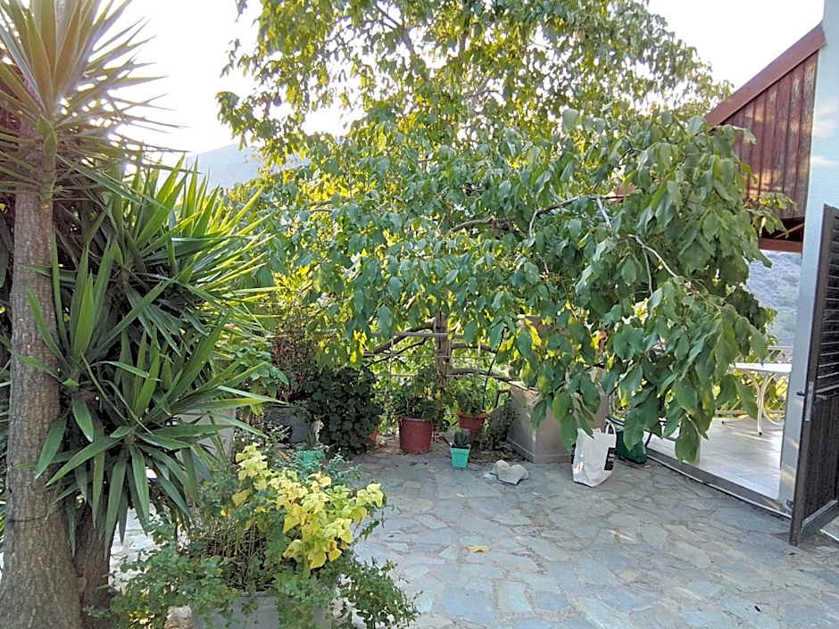 Kampi Double Storey House in the Village