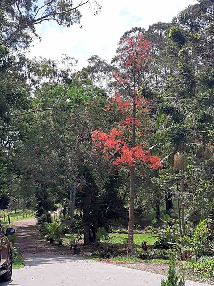 Mapleton Peaceful Provence BnB