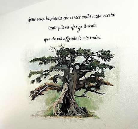Bio B&B La Scoperta del Pollino