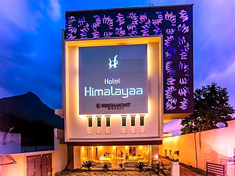 Hotel Himalayaa