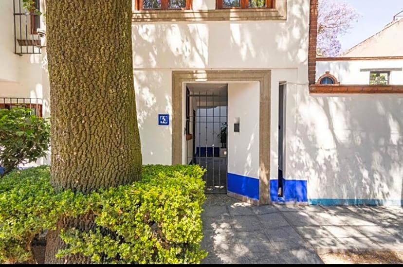 Siete Puertas Coyoacan