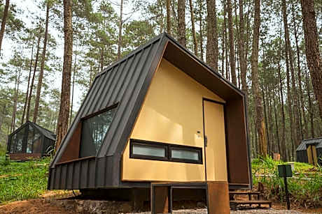 Standard Cabin with Shared Bathroom