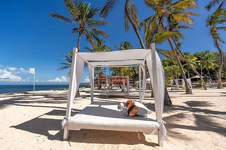 Diamonds Dream of Africa