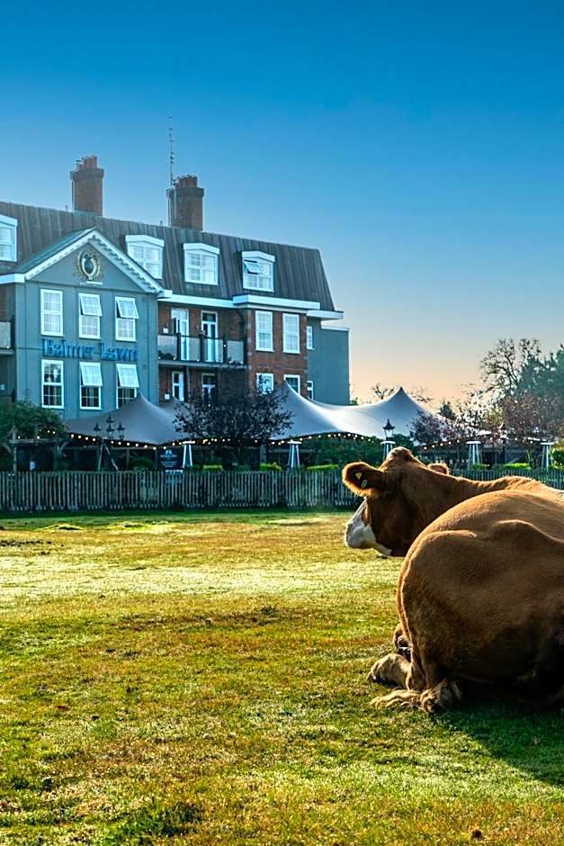 Photo 1 of 46 of Balmer Lawn