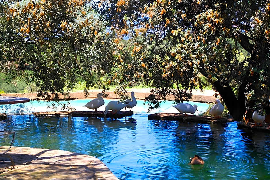 Los Pilares de Ronda Boutique & Hotel