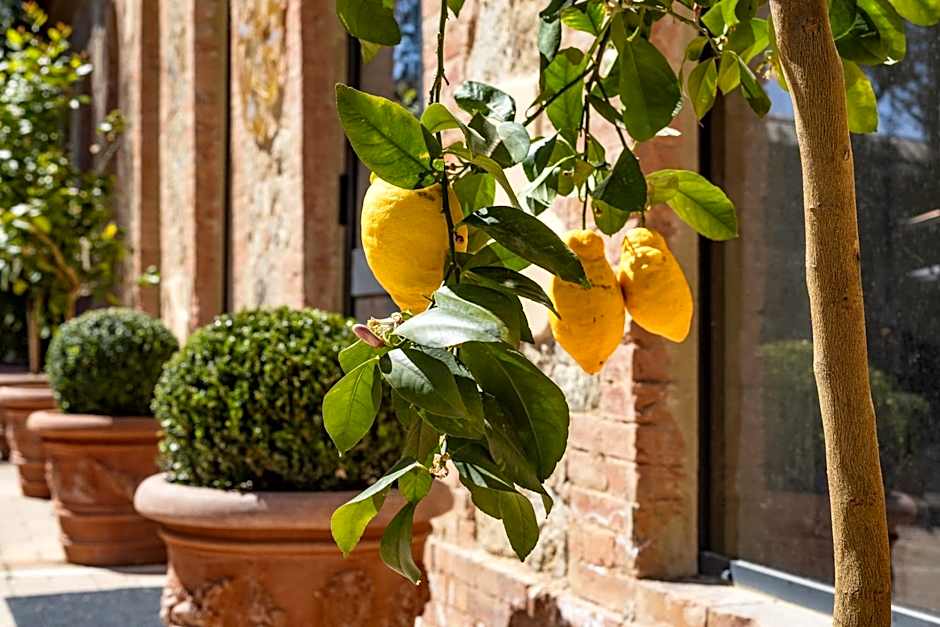 Guild Siena Senior Resort & Residence