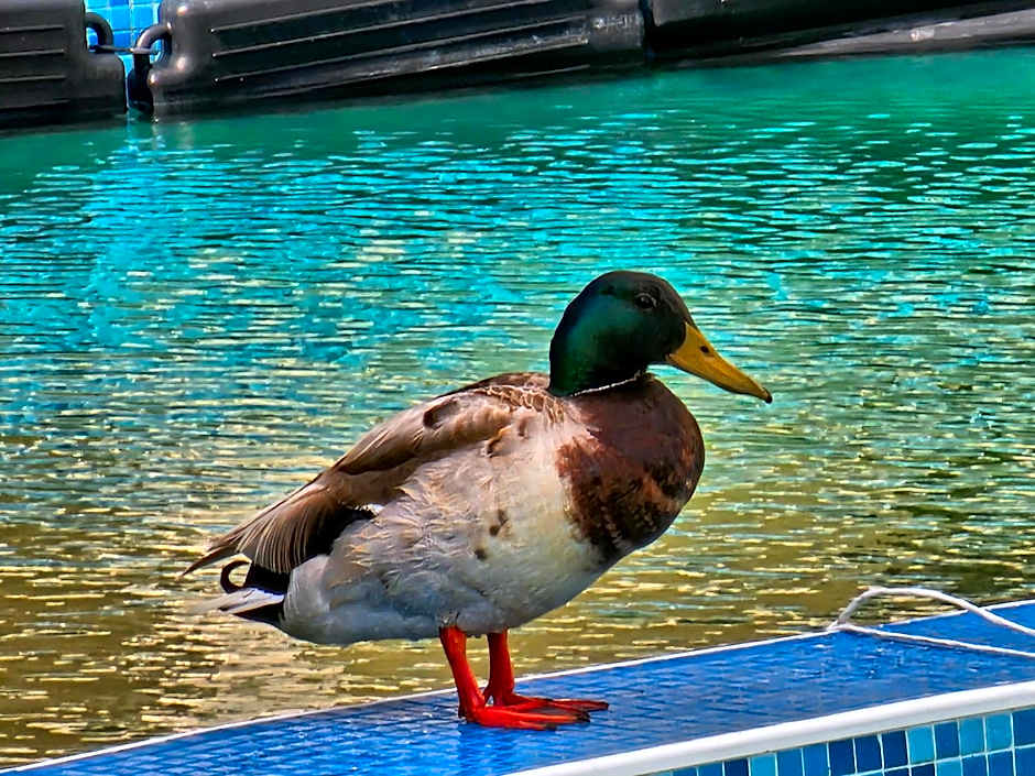 Diamond Beach Sarafovo by KP