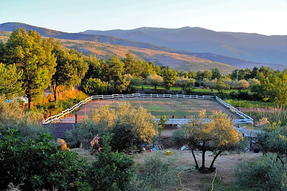 Fattoria La Tana della Volpe