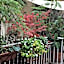 Relais Teatro Argentina
