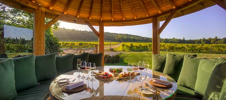 Denbies Vineyard Hotel