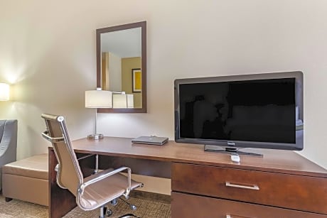 1 King Bed, Suite, Nonsmoking