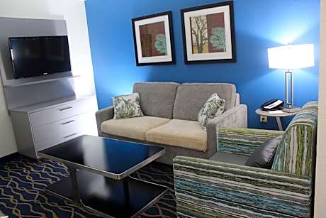 Suite-1 King Bed, Non-Smoking, Pet Friendly Room, Separate Bedroom, Sofabed, 40-Inch Lcd Television,