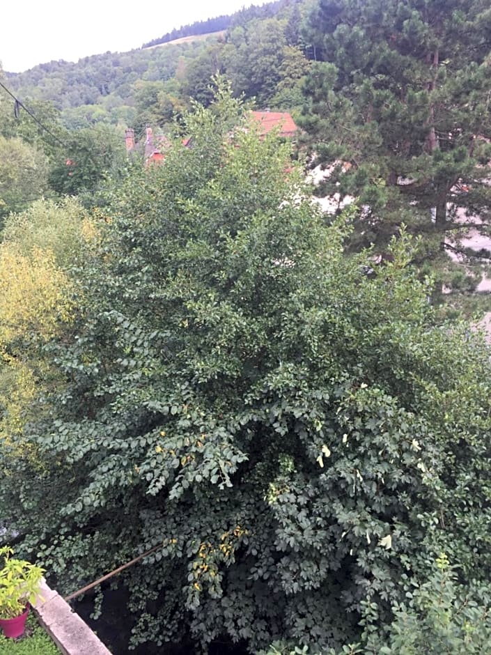 Chambres d'hôtes A la Fecht Nature et Bien-être