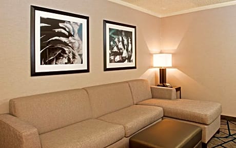 2 room suite-1 king bed-nonsmoking,wifi avl-sleeper sofa-microwave-refrigerator,comp cooked to order brkfst-evening reception
