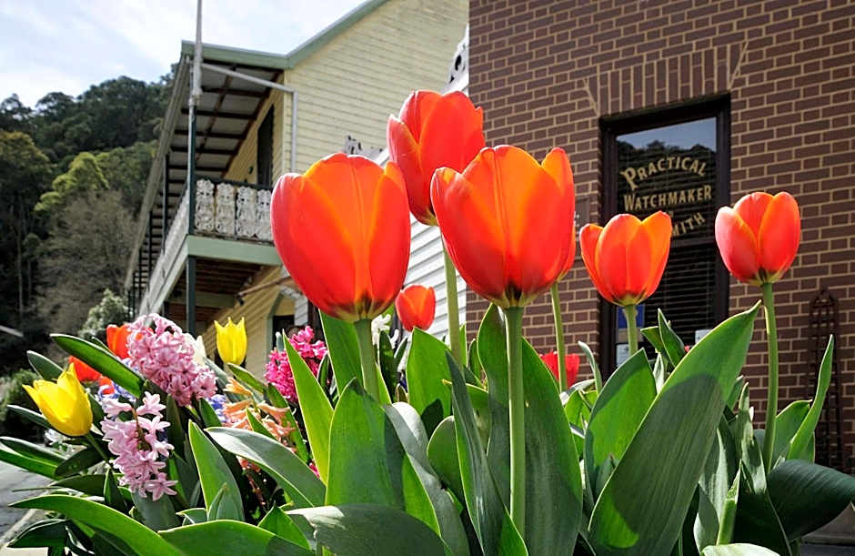 Walhalla's Star Hotel