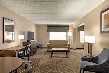 King Studio Suite - Non-Smoking