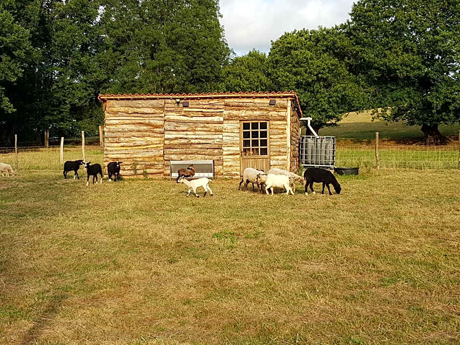 Gîte et Chambres d'Hôtes du Petit Moulin