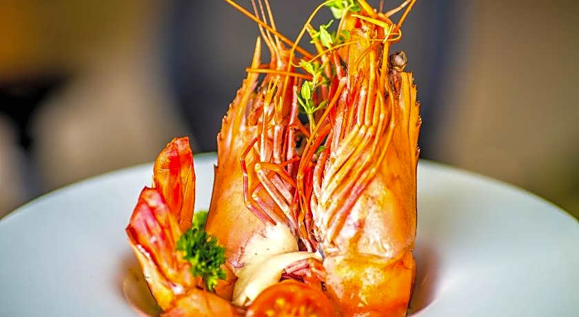 Novotel Yanbu Albahr