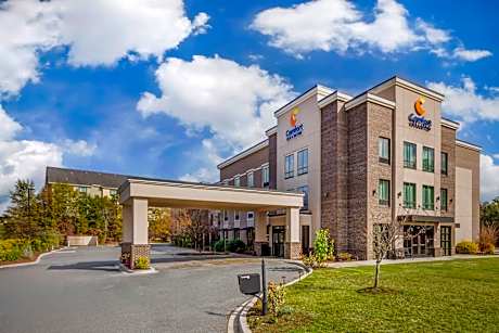 Comfort Inn & Suites Florence Center Area