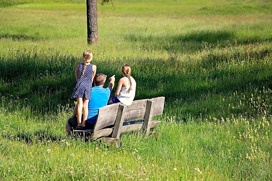 relexa Waldhotel Schatten