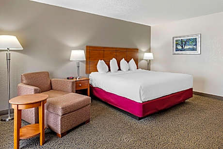 1 King Bed, Smoking Room, Two Vanities