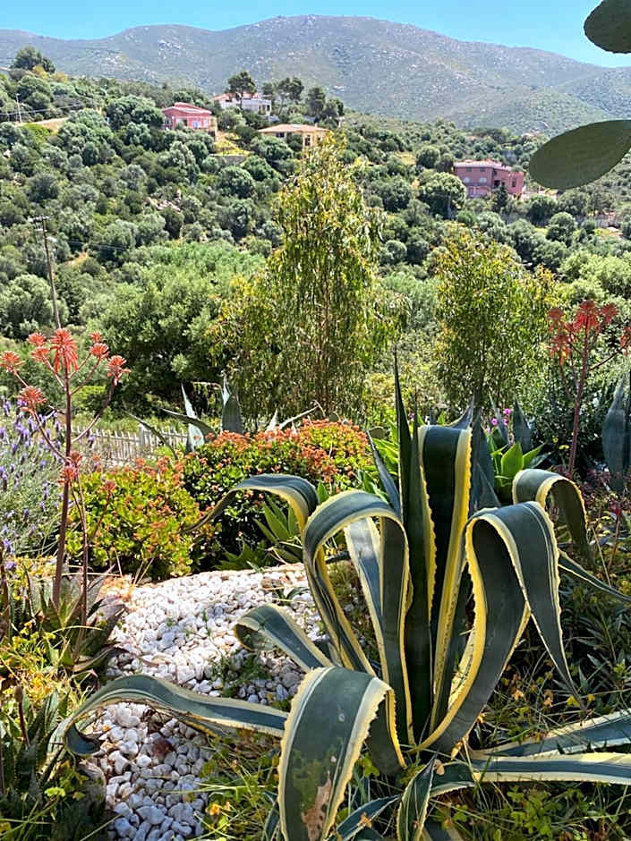 Villa Bella Salmagi - Surya Sardinia Holidays & Yoga