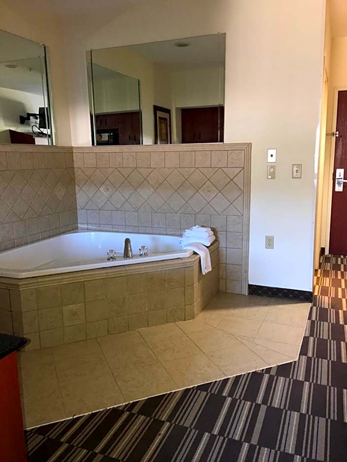 Microtel Inn & Suites By Wyndham Indianapolis Airport