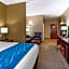 Comfort Inn & Suites Lynchburg Airport - University Area
