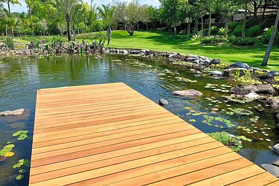 Huayacán Cuernavaca Curamoria Collection