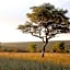 Lindani Game and Lodges