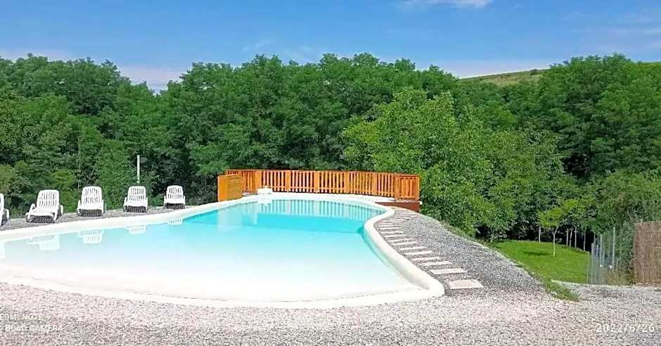 Reichau Transilvania