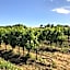 Domaine de Peilhan