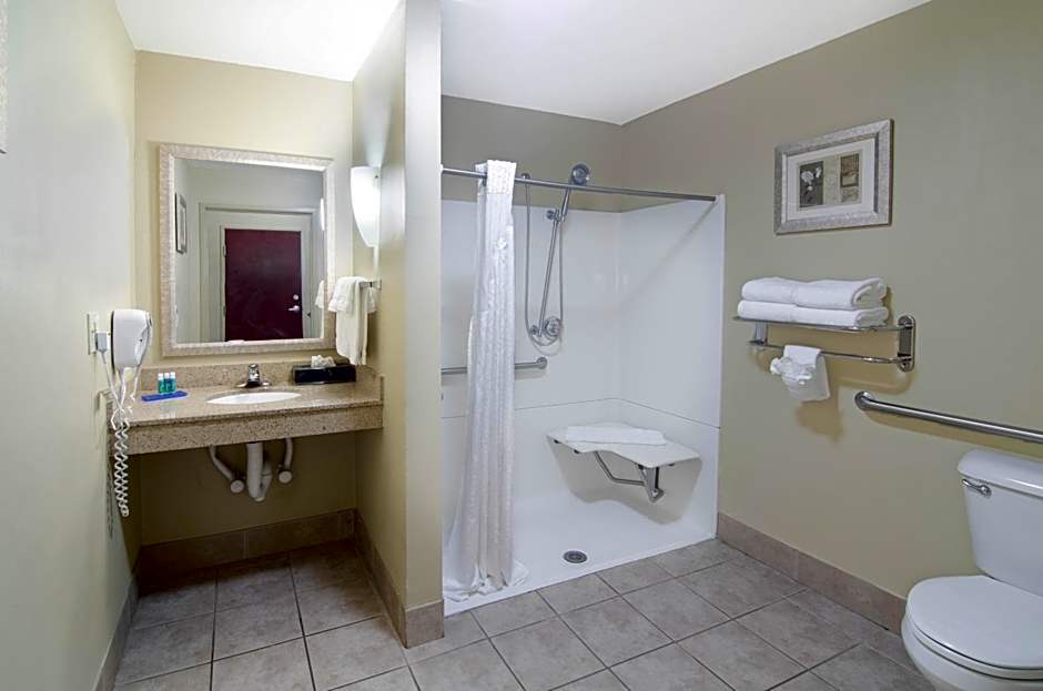 Comfort Suites Mobile-South Alabama University Area