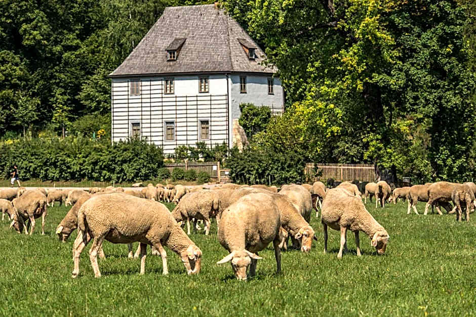 Dorint Am Goethepark Weimar