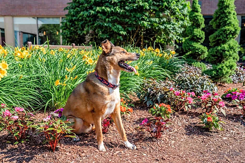 Hyatt Regency Boston/Cambridge