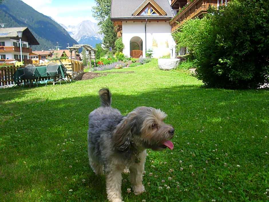 Apartments Residence Montana