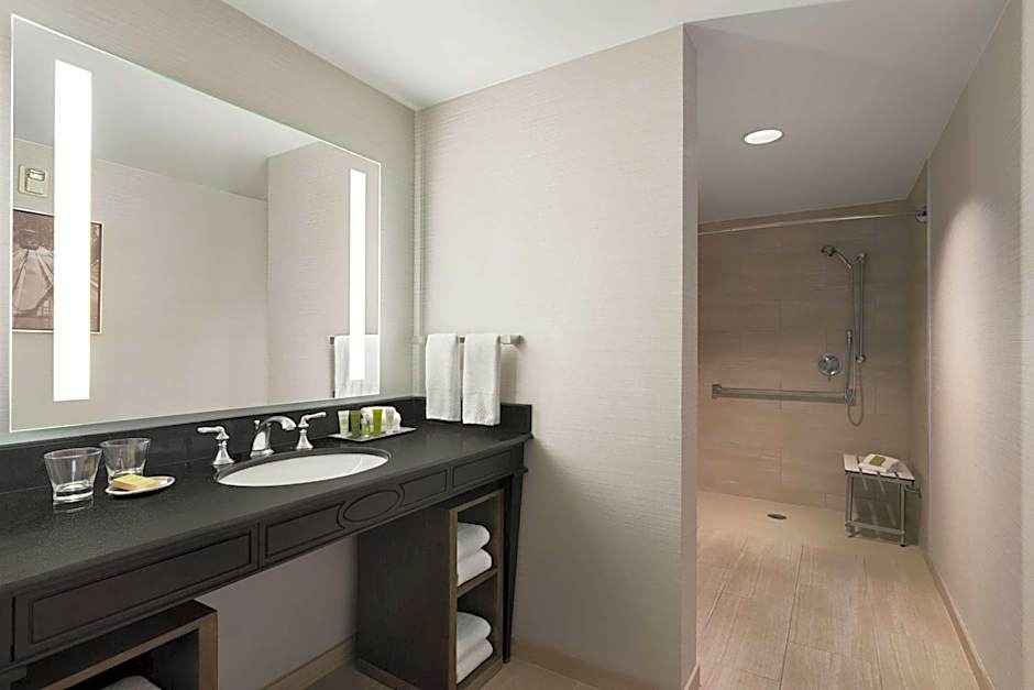 Hilton New Orleans/St. Charles Ave. French Quarter Area