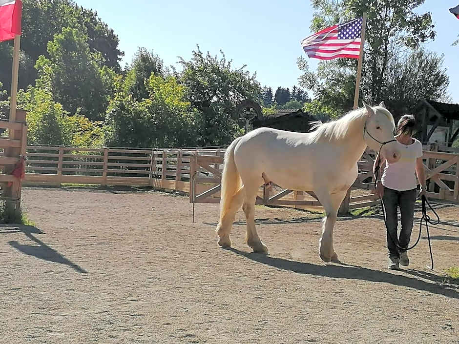 Der Blankhof "Back to Roots"