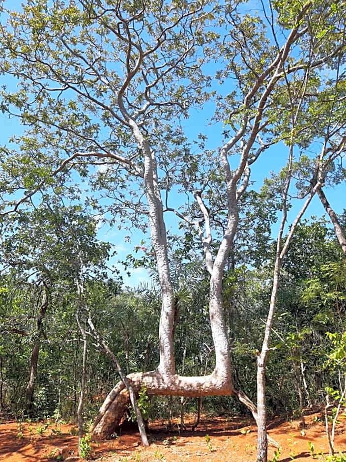 Fazenda Hotel Bem Ecológico